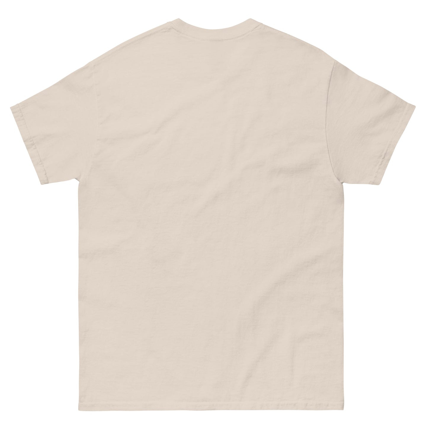 -shirt classique unisexe - tu sais